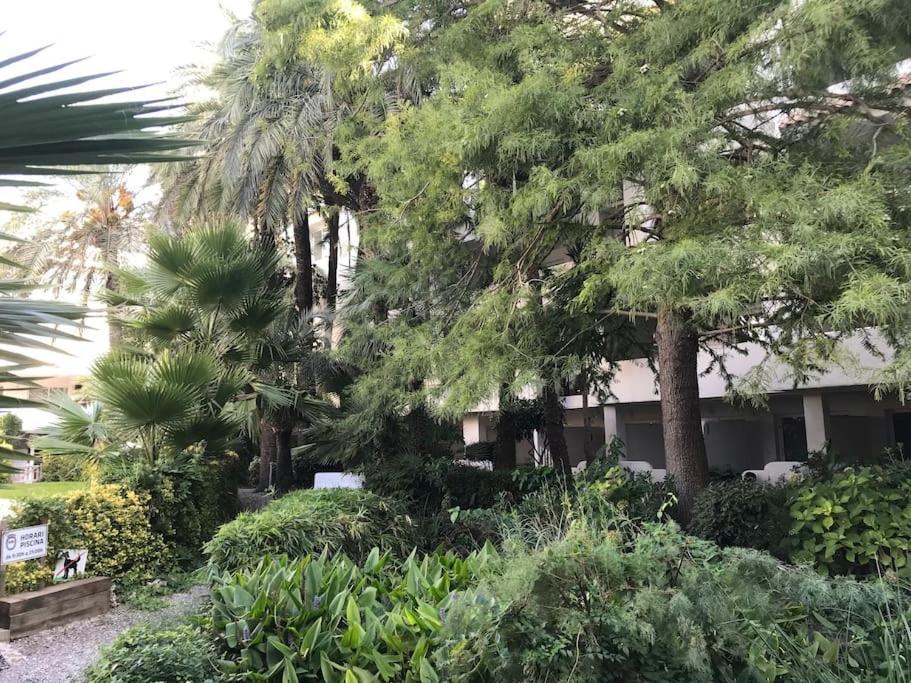 Appartement Superbe En Avec Piscine.